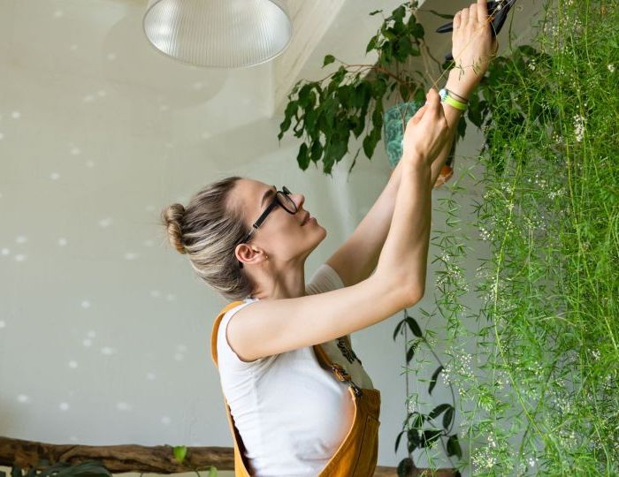 side-view-woman-pruning-home-scaled-1-1-thegem-blog-default